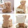 Teddy Tunes™ - Mélodie de l'ours - Ours en peluche Peekaboo