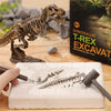 DinoDig – Passionnant et instructif – Kit de fouilles de fossiles