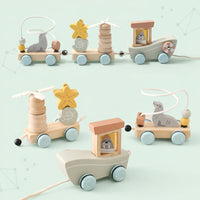 Thumbnail for Color Spring – Jouer et se développer – Jouets sensoriels en bois pour bébés