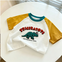 Thumbnail for StreetBoy – Tendance et confortable – T-shirt pour enfant à manches raglan et imprimé