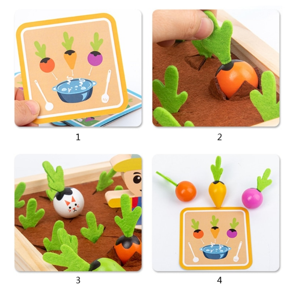 Harvest Game™ - Découvrez différents légumes - Jardin de légumes