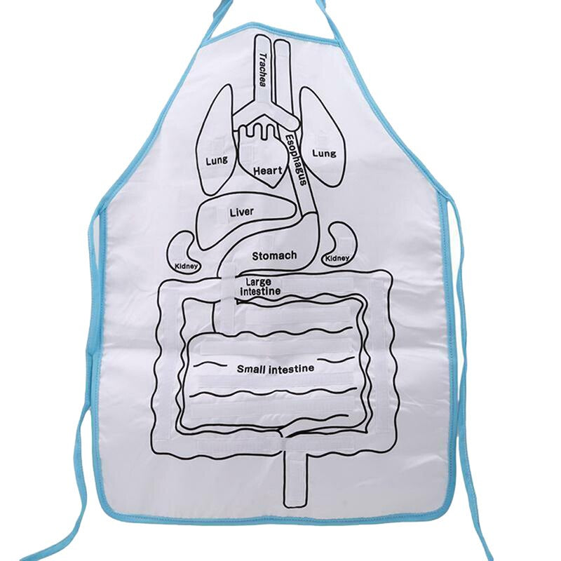 Anatomy Apron™ - Explorer le corps de manière interactive - Tablier d'anatomie humaine