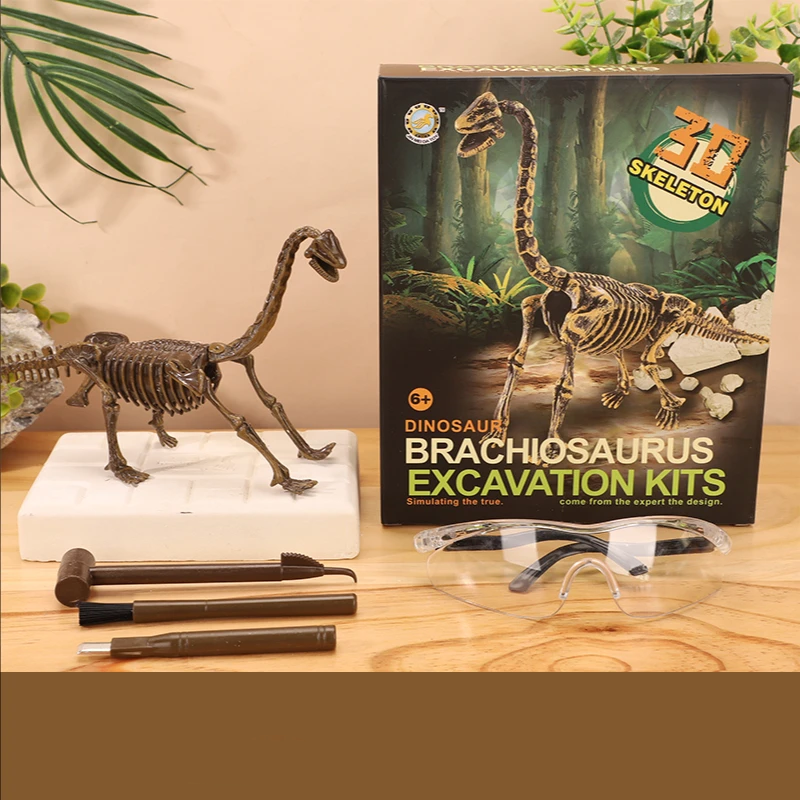 DinoDig – Passionnant et instructif – Kit de fouilles de fossiles