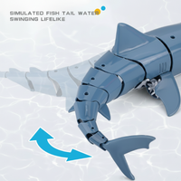 Thumbnail for SeaBuddy – Créativité et activité physique – RC Haai