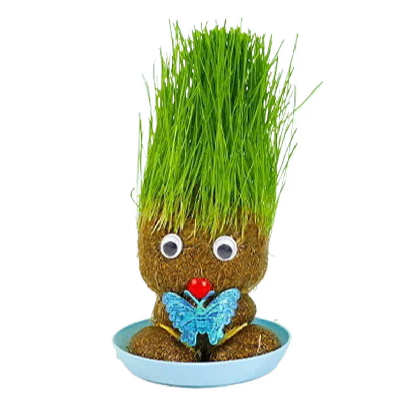 Figure Plants™ - Apprendre à entretenir les plantes - Plantes de décoration intérieure