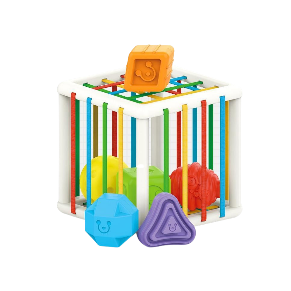 Woods™ - Trier et apprendre - Cube pédagogique pour enfants