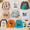 Kids Dinosaur Sweatshirt – Confort et style – Pull pour enfant Dino