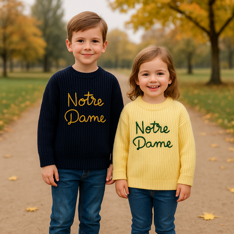 WarmWeave – Confortable et ludique – Pull « Notre Dame »