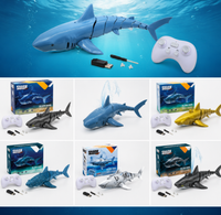 Thumbnail for SeaBuddy – Créativité et activité physique – RC Haai