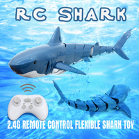 Thumbnail for SeaBuddy – Créativité et activité physique – RC Haai