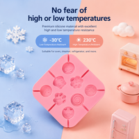 Thumbnail for SweetPop – Des friandises saines – Lot de moules à sucettes en silicone