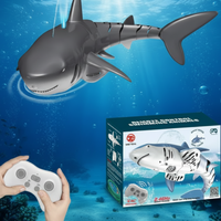 Thumbnail for SeaBuddy – Créativité et activité physique – RC Haai