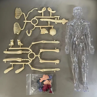 Thumbnail for Human Anatomy – Apprendre et découvrir – Kit modèle du corps humain