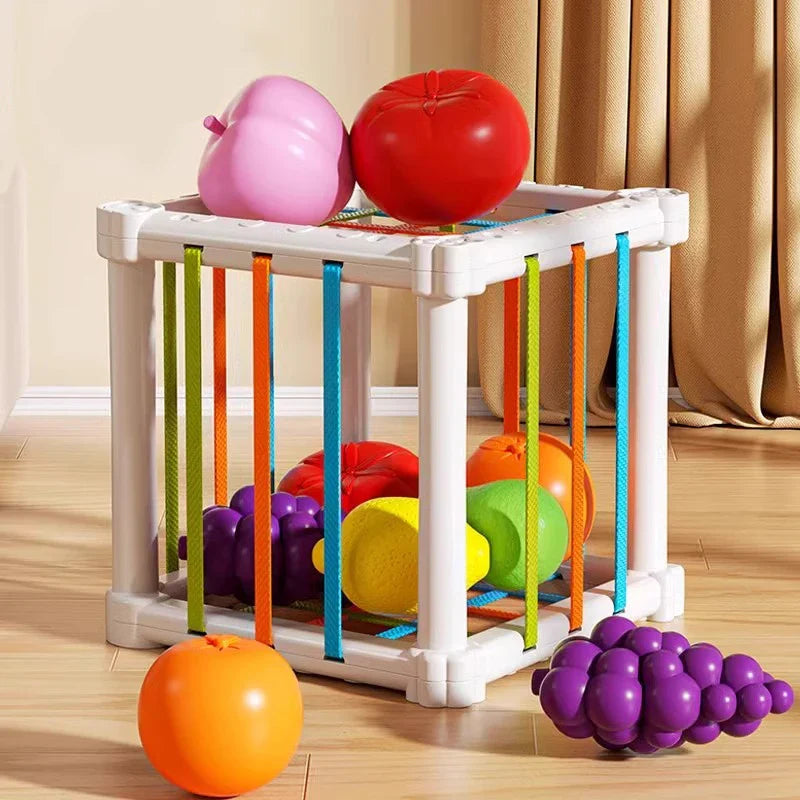 Fruit Box™ - Couper, Jouer, Apprendre - Fruit en boîte