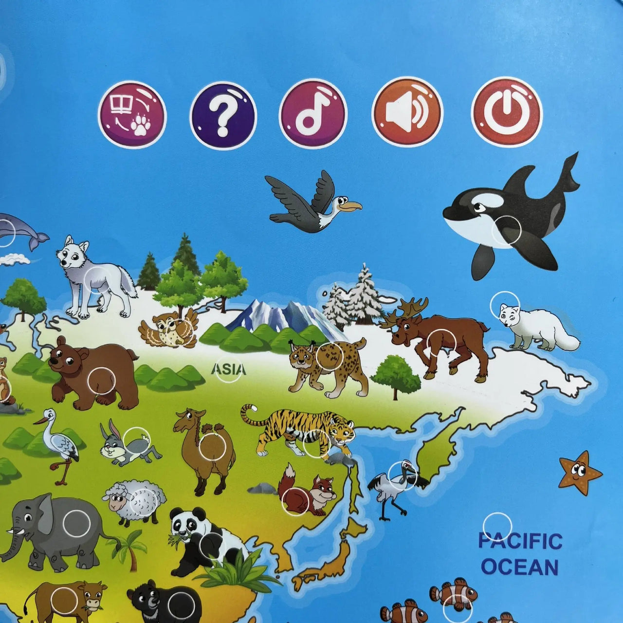 LittleExplorers – Apprendre et jouer – Carte du monde des animaux