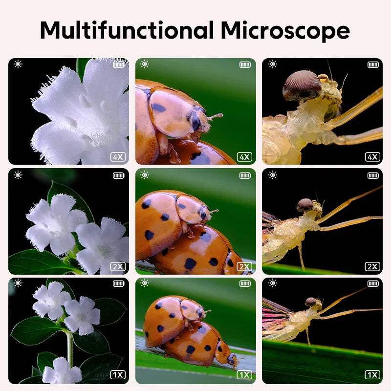 Mini Kids Microscope™ - La science sous le microscope - Microscope