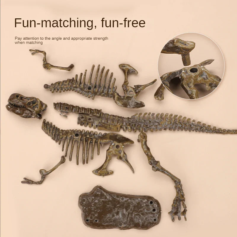 DinoDig – Passionnant et instructif – Kit de fouilles de fossiles
