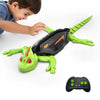 GeckoClimber – Robuste et passionnant – Robot Caméléon