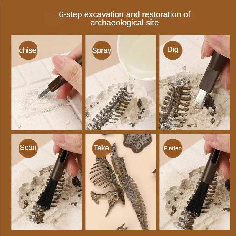 DinoDig – Passionnant et instructif – Kit de fouilles de fossiles