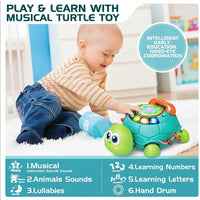 Thumbnail for SmartTurtle – Interactif et musical - Jouet tortue avec chansons
