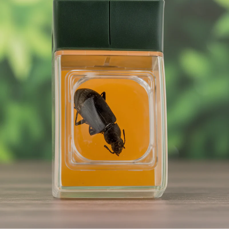 Bug Catcher with Magnifier – Découverte et apprentissage – Piège à insectes