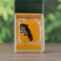 Thumbnail for Bug Catcher with Magnifier – Découverte et apprentissage – Piège à insectes
