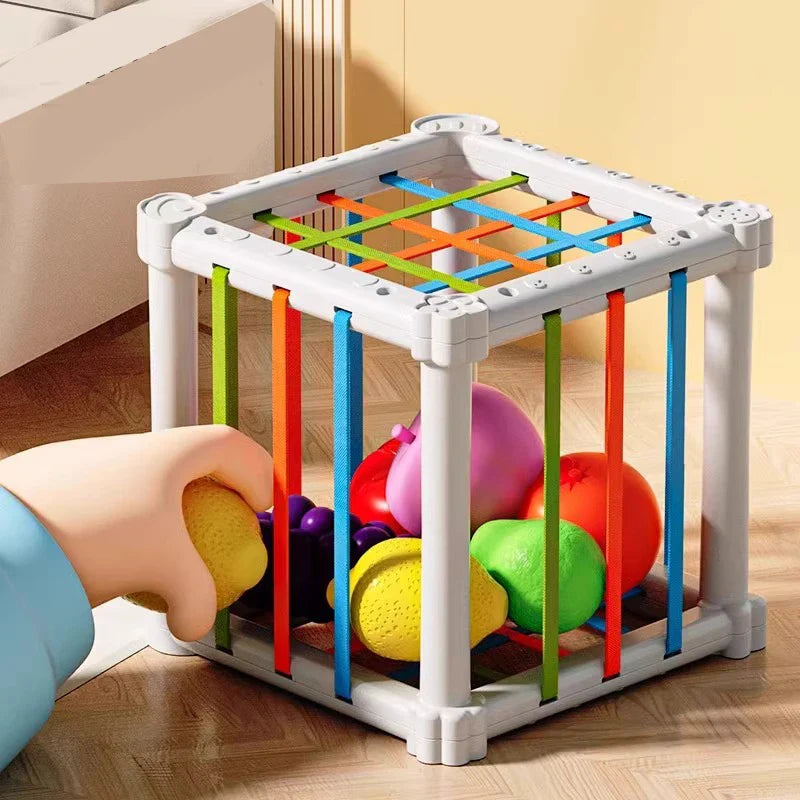 Fruit Box™ - Couper, Jouer, Apprendre - Fruit en boîte
