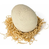 Thumbnail for Grow-A-Rex – Ludique et intelligent – Jurassic Dino