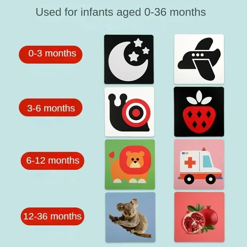 VisionBook – Éducatif et instructif – Livre de cartes sur la cognition chez les bébés