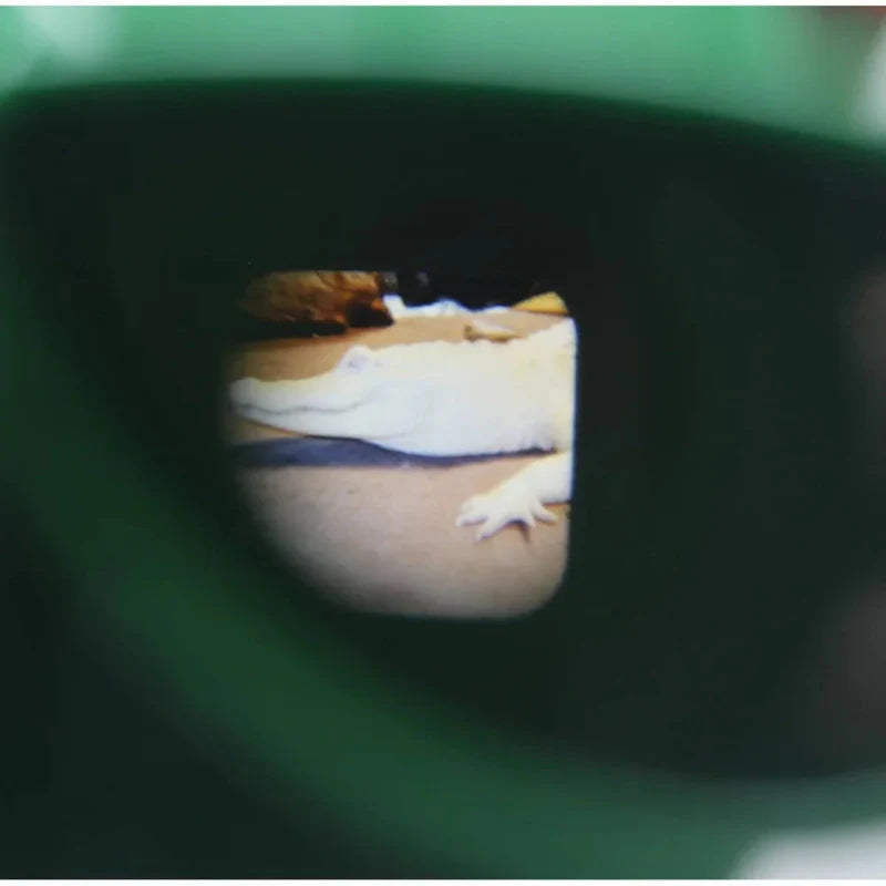 ViewMax – Rétro et sympa – Lunettes 3D