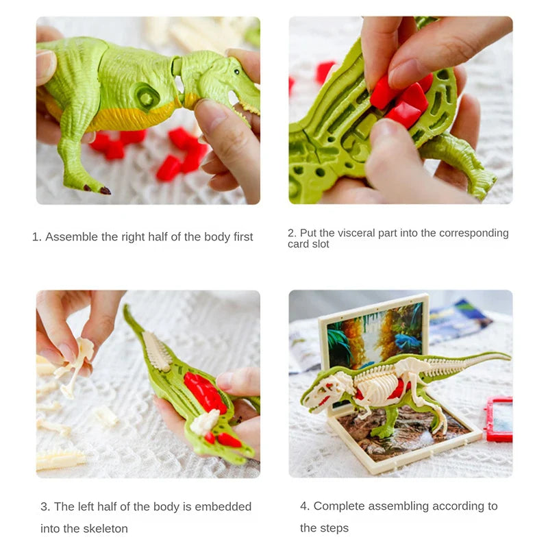 DinoDig – Passionnant et instructif – Kit de fouilles de fossiles
