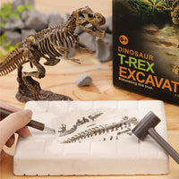 Thumbnail for DinoDig – Passionnant et instructif – Kit de fouilles de fossiles
